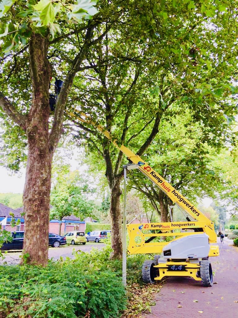 21 meter zelfrijdende hybride, bomen snoeien (2)